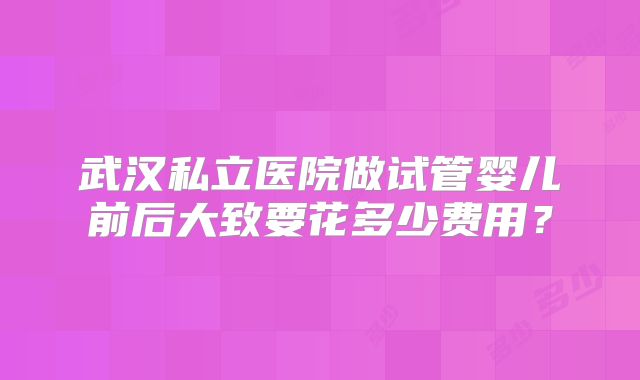 武汉私立医院做试管婴儿前后大致要花多少费用？