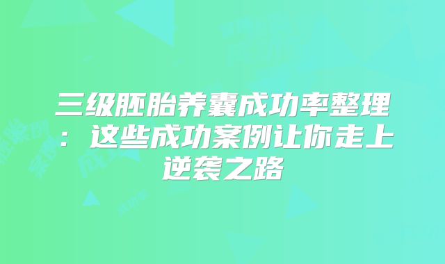 三级胚胎养囊成功率整理:这些成功案例让你走上逆袭之路
