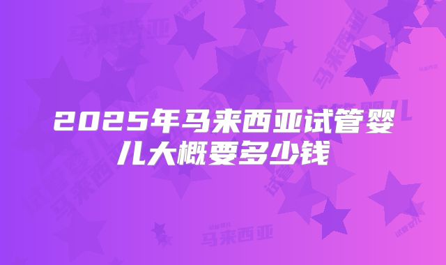 2025年马来西亚试管婴儿大概要多少钱