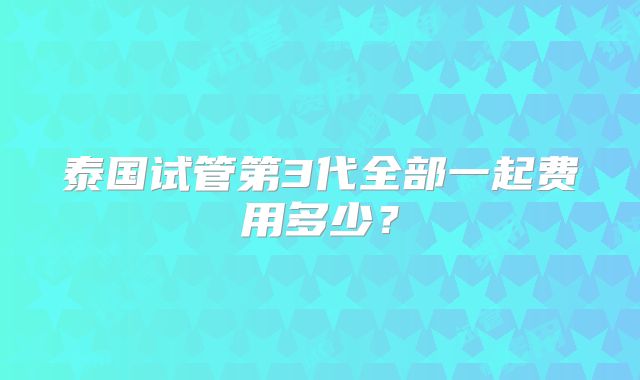 泰国试管第3代全部一起费用多少？