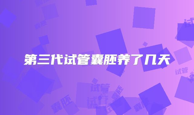 第三代试管囊胚养了几天