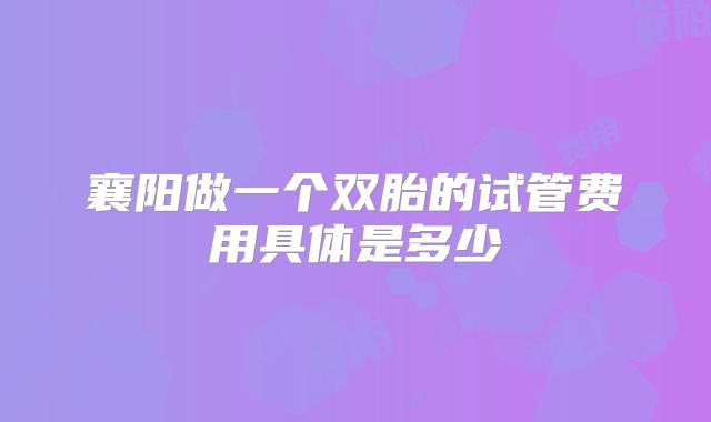 襄阳做一个双胎的试管费用具体是多少