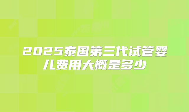 2025泰国第三代试管婴儿费用大概是多少