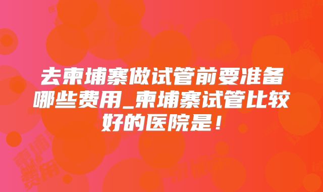 去柬埔寨做试管前要准备哪些费用_柬埔寨试管比较好的医院是！