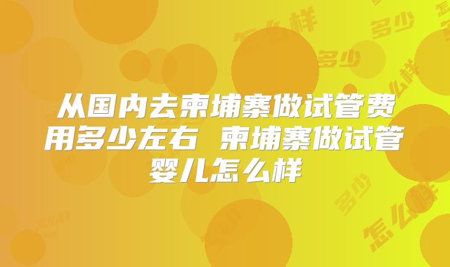 从国内去柬埔寨做试管费用多少左右 柬埔寨做试管婴儿怎么样