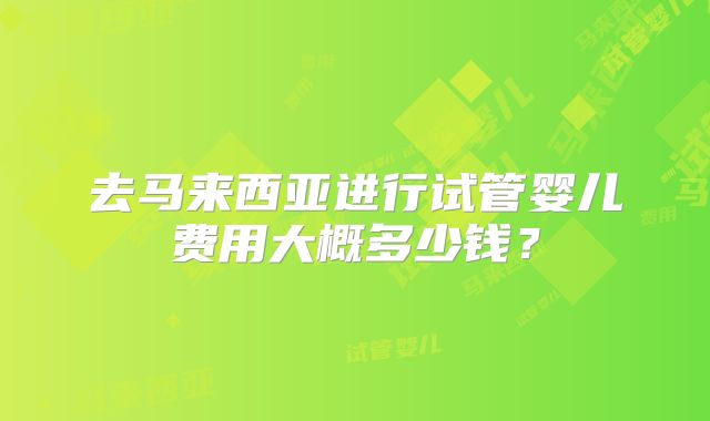 去马来西亚进行试管婴儿费用大概多少钱？