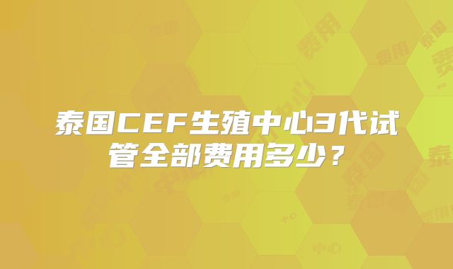 泰国CEF生殖中心3代试管全部费用多少？