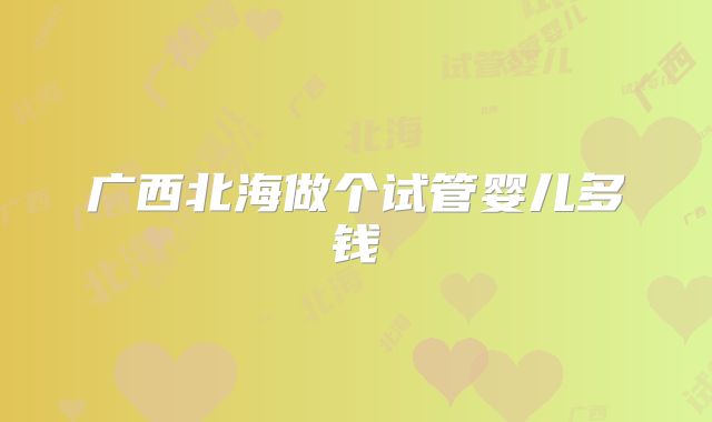 广西北海做个试管婴儿多钱