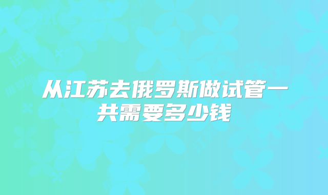 从江苏去俄罗斯做试管一共需要多少钱