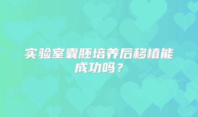 实验室囊胚培养后移植能成功吗？