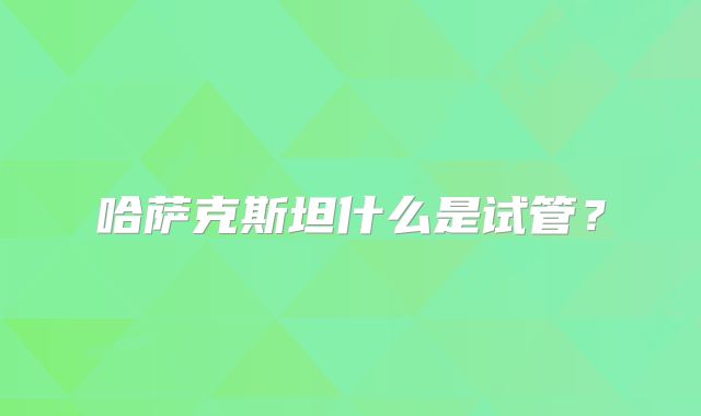 哈萨克斯坦什么是试管？