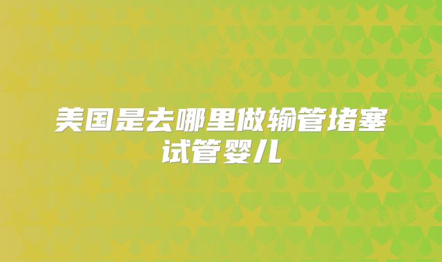 美国是去哪里做输管堵塞试管婴儿