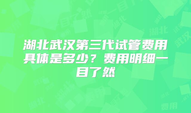 湖北武汉第三代试管费用具体是多少?费用明细一目了然