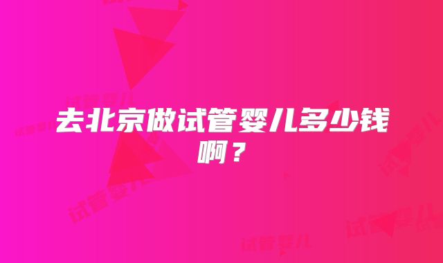 去北京做试管婴儿多少钱啊？