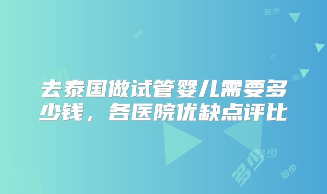 去泰国做试管婴儿需要多少钱，各医院优缺点评比
