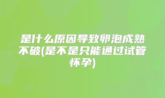 是什么原因导致卵泡成熟不破(是不是只能通过试管怀孕)