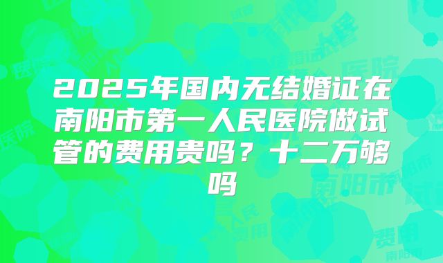 2025年国内无结婚证在南阳市第一人民医院做试管的费用贵吗？十二万够吗