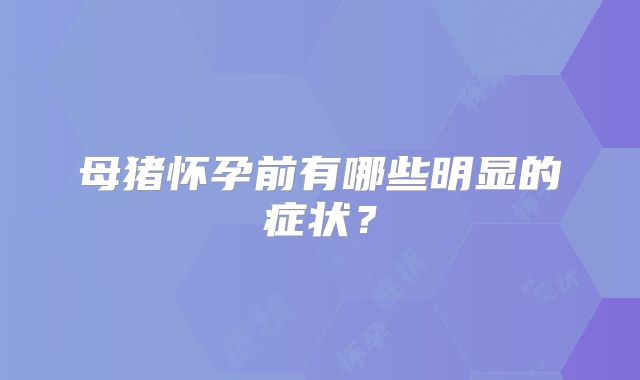 母猪怀孕前有哪些明显的症状?