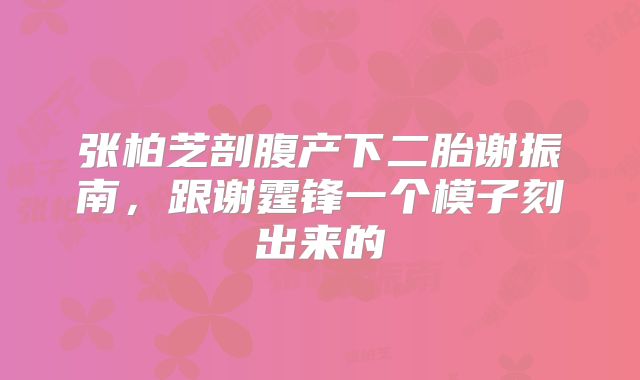 张柏芝剖腹产下二胎谢振南，跟谢霆锋一个模子刻出来的