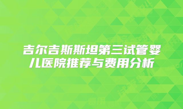 吉尔吉斯斯坦第三试管婴儿医院推荐与费用分析