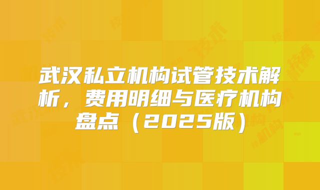 武汉私立机构试管技术解析，费用明细与医疗机构盘点（2025版）