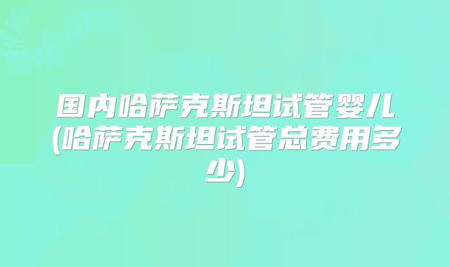 国内哈萨克斯坦试管婴儿(哈萨克斯坦试管总费用多少)