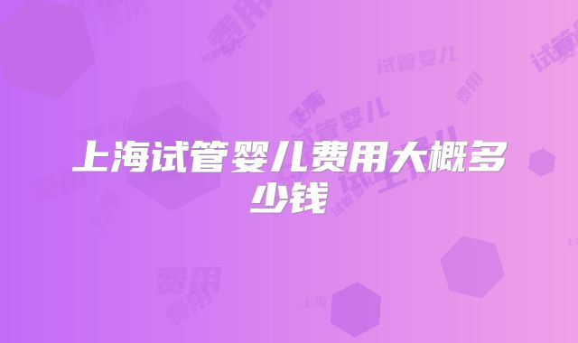上海试管婴儿费用大概多少钱