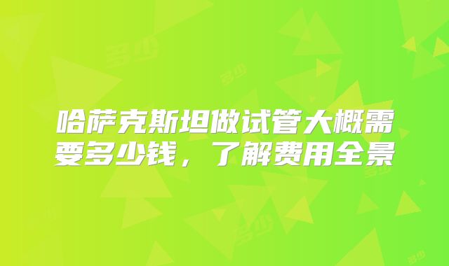 哈萨克斯坦做试管大概需要多少钱，了解费用全景