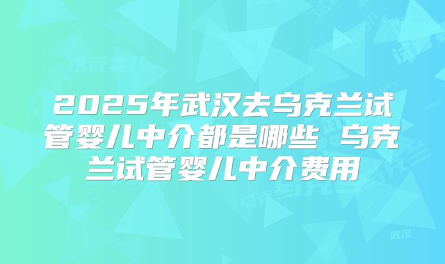 2025年武汉去乌克兰试管婴儿中介都是哪些 乌克兰试管婴儿中介费用