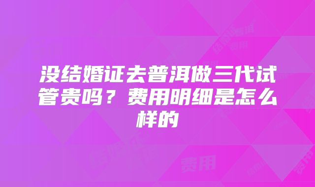 没结婚证去普洱做三代试管贵吗？费用明细是怎么样的