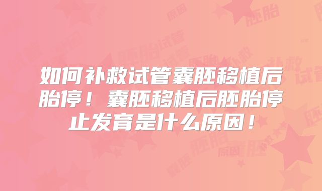 如何补救试管囊胚移植后胎停!囊胚移植后胚胎停止发育是什么原因!