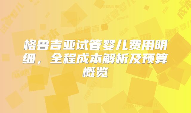 格鲁吉亚试管婴儿费用明细，全程成本解析及预算概览