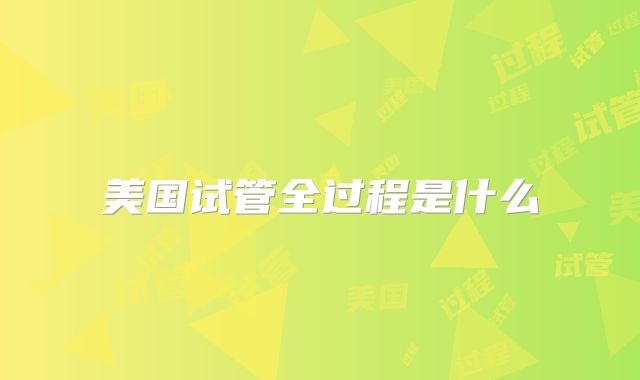 美国试管全过程是什么