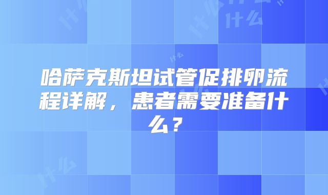 哈萨克斯坦试管促排卵流程详解，患者需要准备什么？