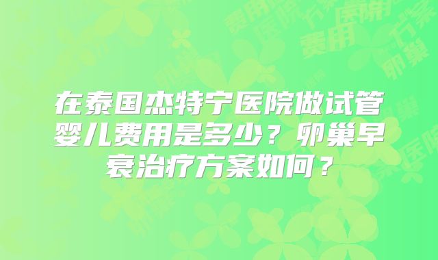 在泰国杰特宁医院做试管婴儿费用是多少？卵巢早衰治疗方案如何？