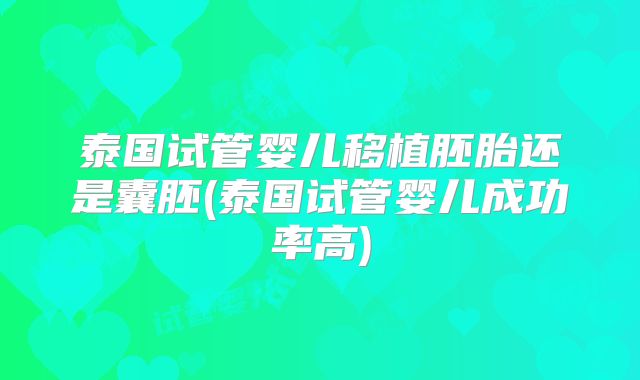 泰国试管婴儿移植胚胎还是囊胚(泰国试管婴儿成功率高)