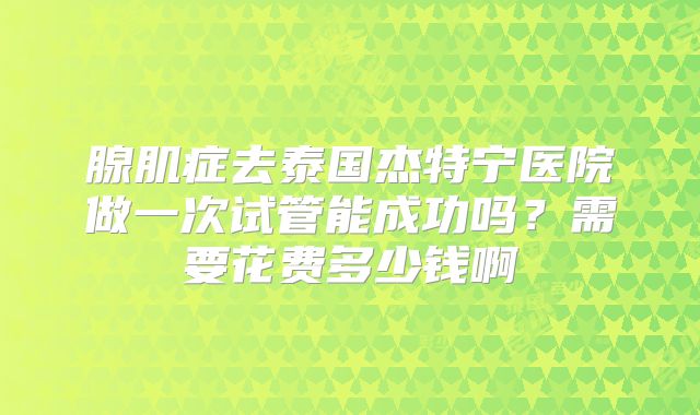 腺肌症去泰国杰特宁医院做一次试管能成功吗？需要花费多少钱啊