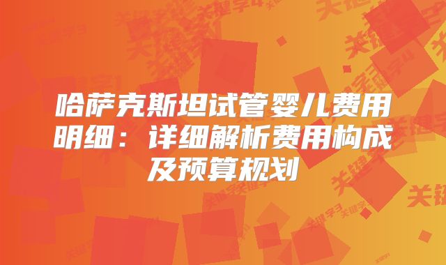 哈萨克斯坦试管婴儿费用明细:详细解析费用构成及预算规划