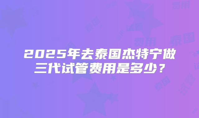 2025年去泰国杰特宁做三代试管费用是多少？