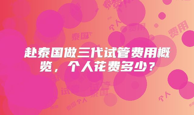 赴泰国做三代试管费用概览，个人花费多少？