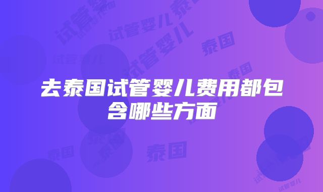 去泰国试管婴儿费用都包含哪些方面