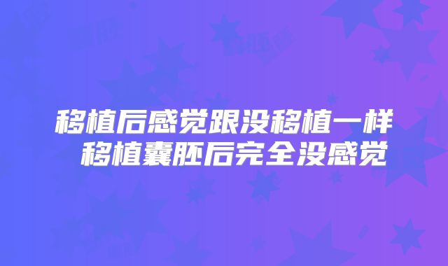 移植后感觉跟没移植一样 移植囊胚后完全没感觉