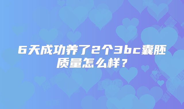 6天成功养了2个3bc囊胚质量怎么样?