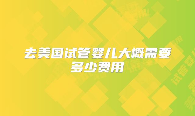 去美国试管婴儿大概需要多少费用