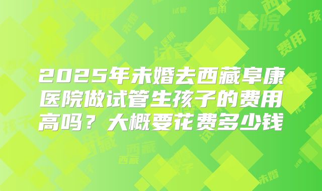 2025年未婚去西藏阜康医院做试管生孩子的费用高吗？大概要花费多少钱