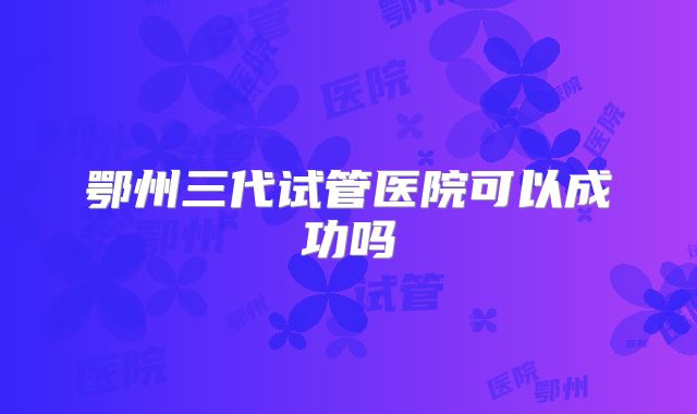 鄂州三代试管医院可以成功吗
