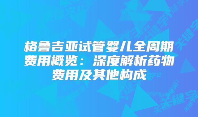 格鲁吉亚试管婴儿全周期费用概览：深度解析药物费用及其他构成