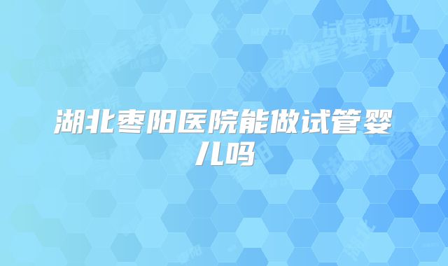 湖北枣阳医院能做试管婴儿吗