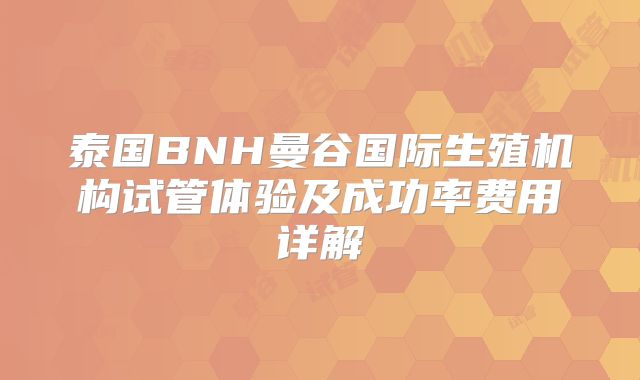 泰国BNH曼谷国际生殖机构试管体验及成功率费用详解