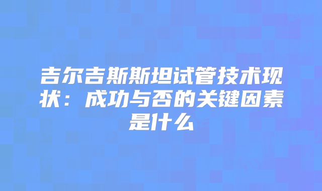 吉尔吉斯斯坦试管技术现状:成功与否的关键因素是什么